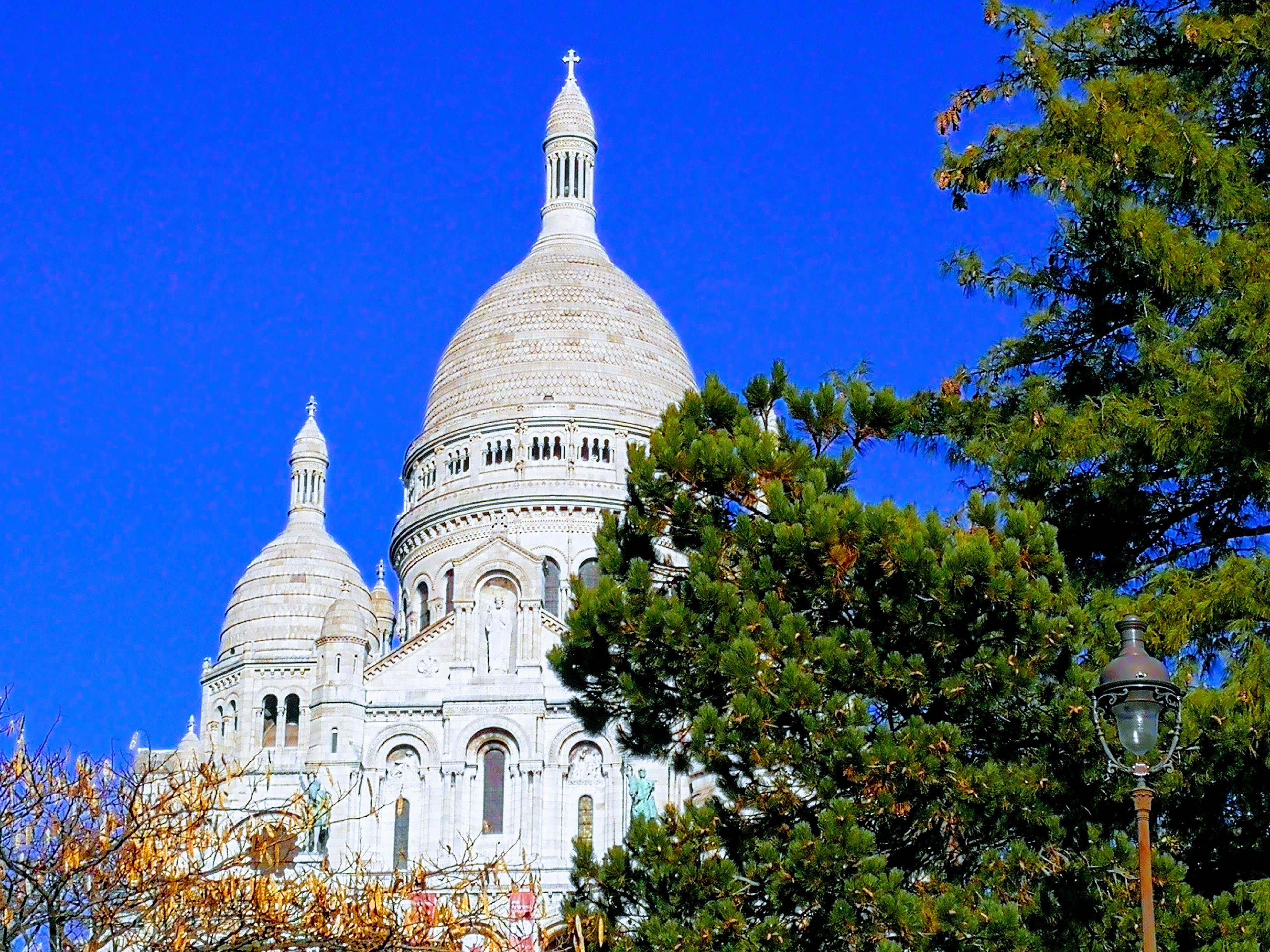 Bruno Le Chaux Montmartre Arbre